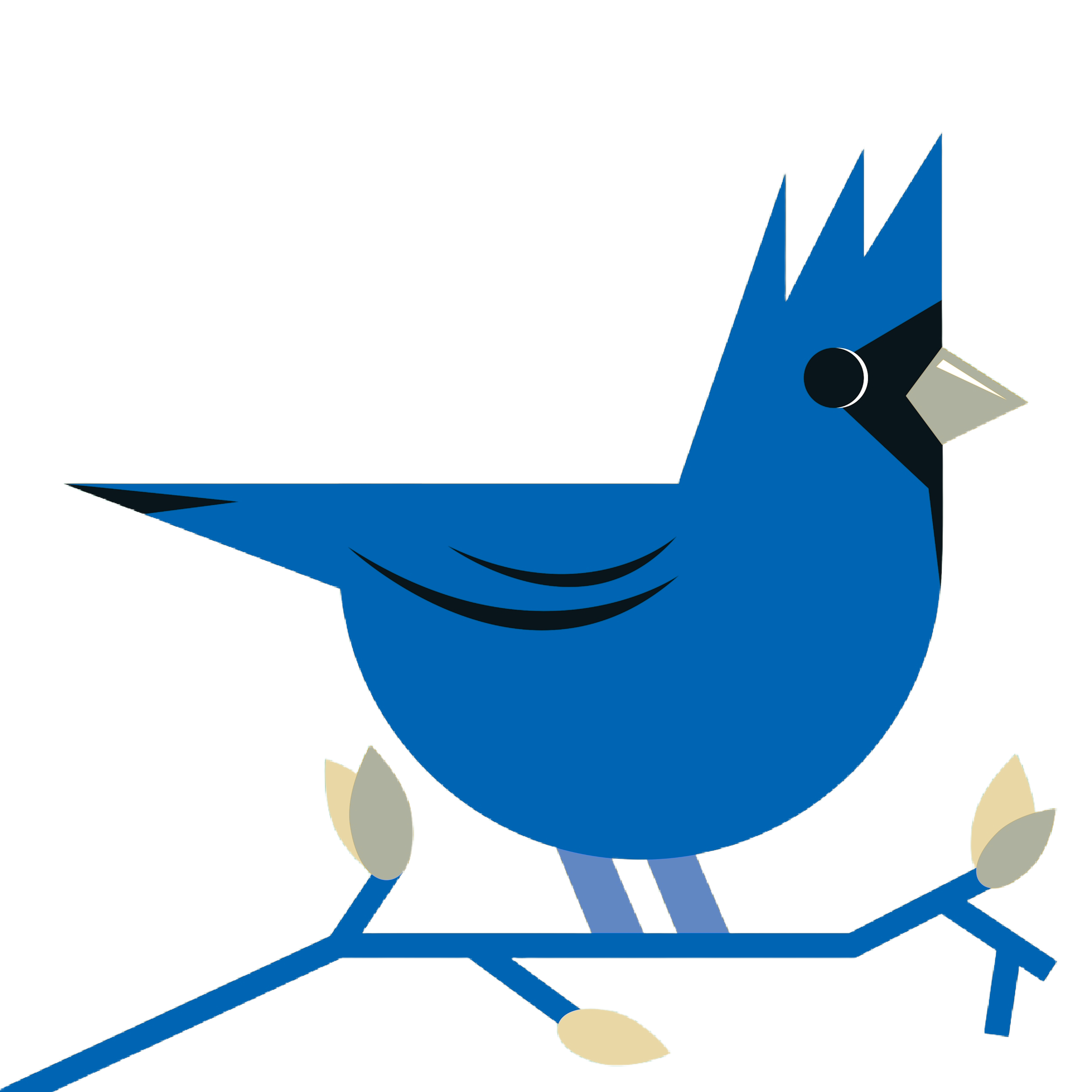 BirdLiving project